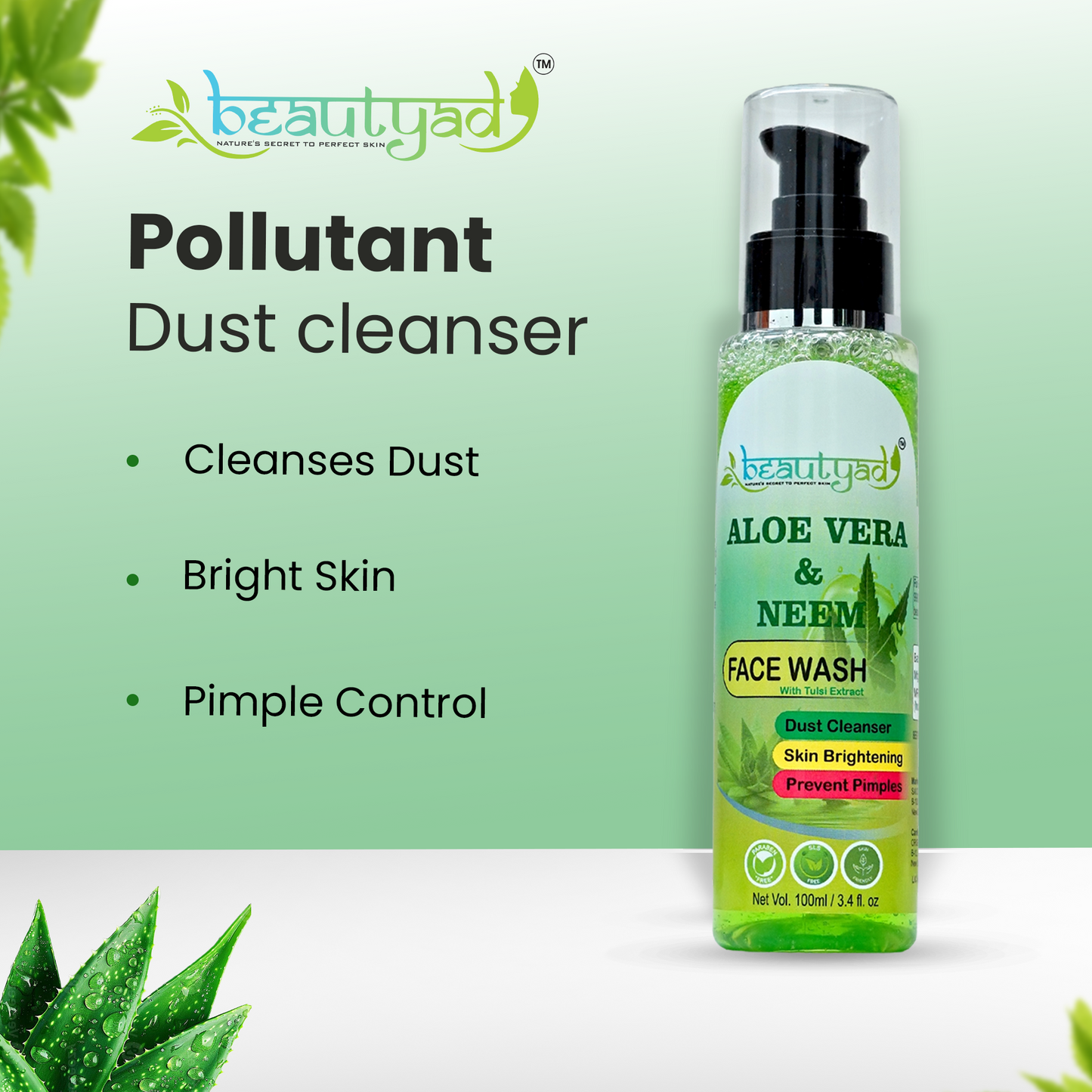 Pollutant Dust Cleanser